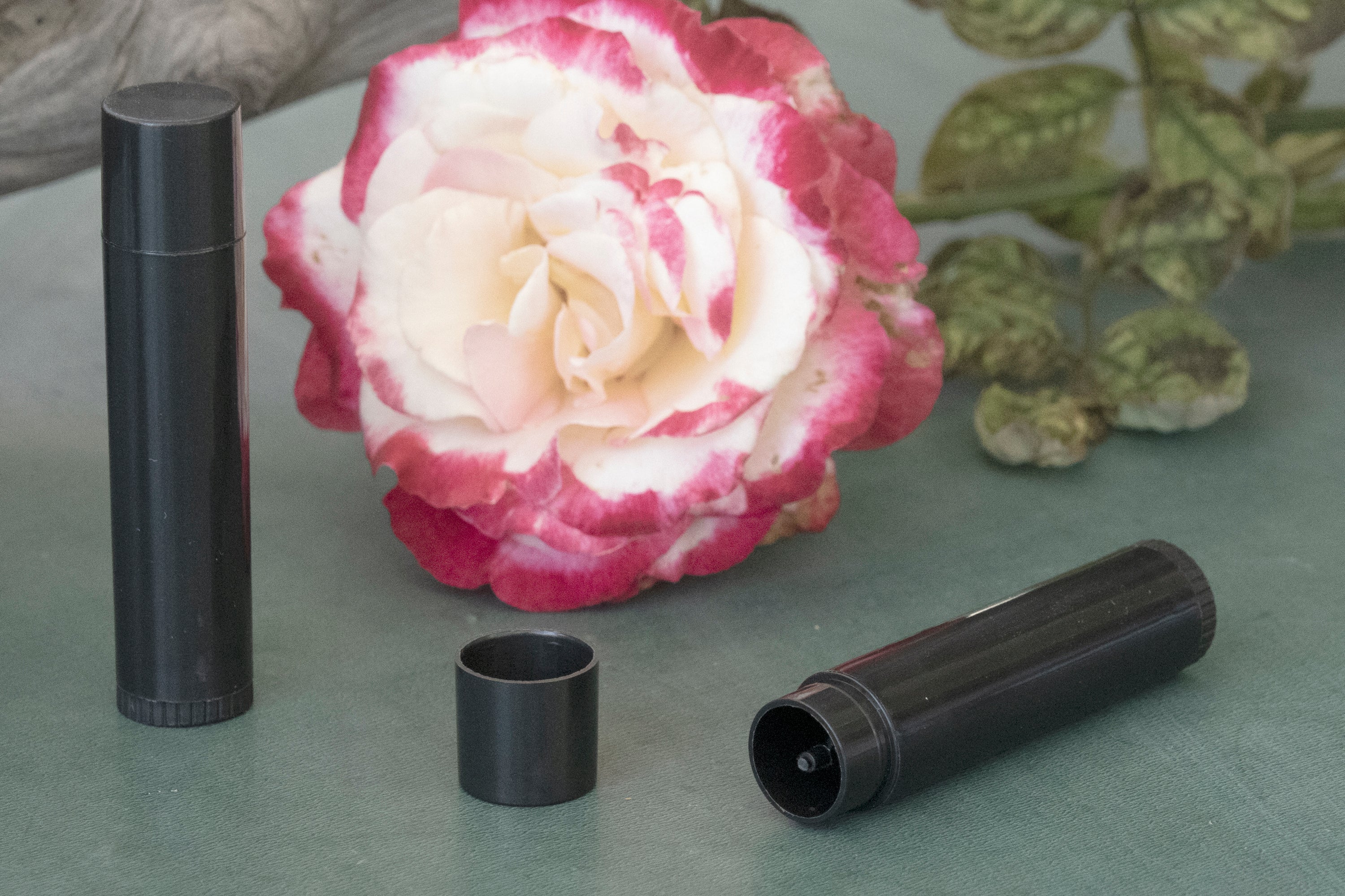 Twisting 0.15 oz Plastic-Free Lip Balm Tube